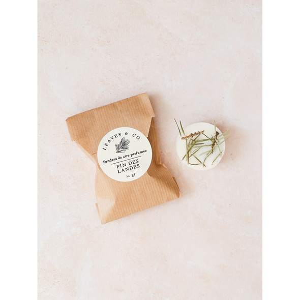 Fondants de cire - Pin des Landes