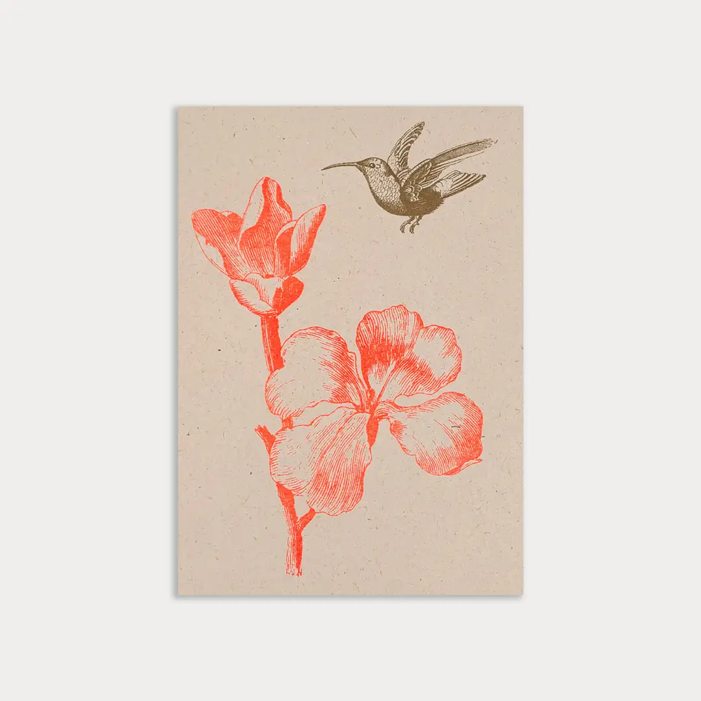 Carte postale Colibri