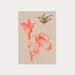 Carte postale Colibri