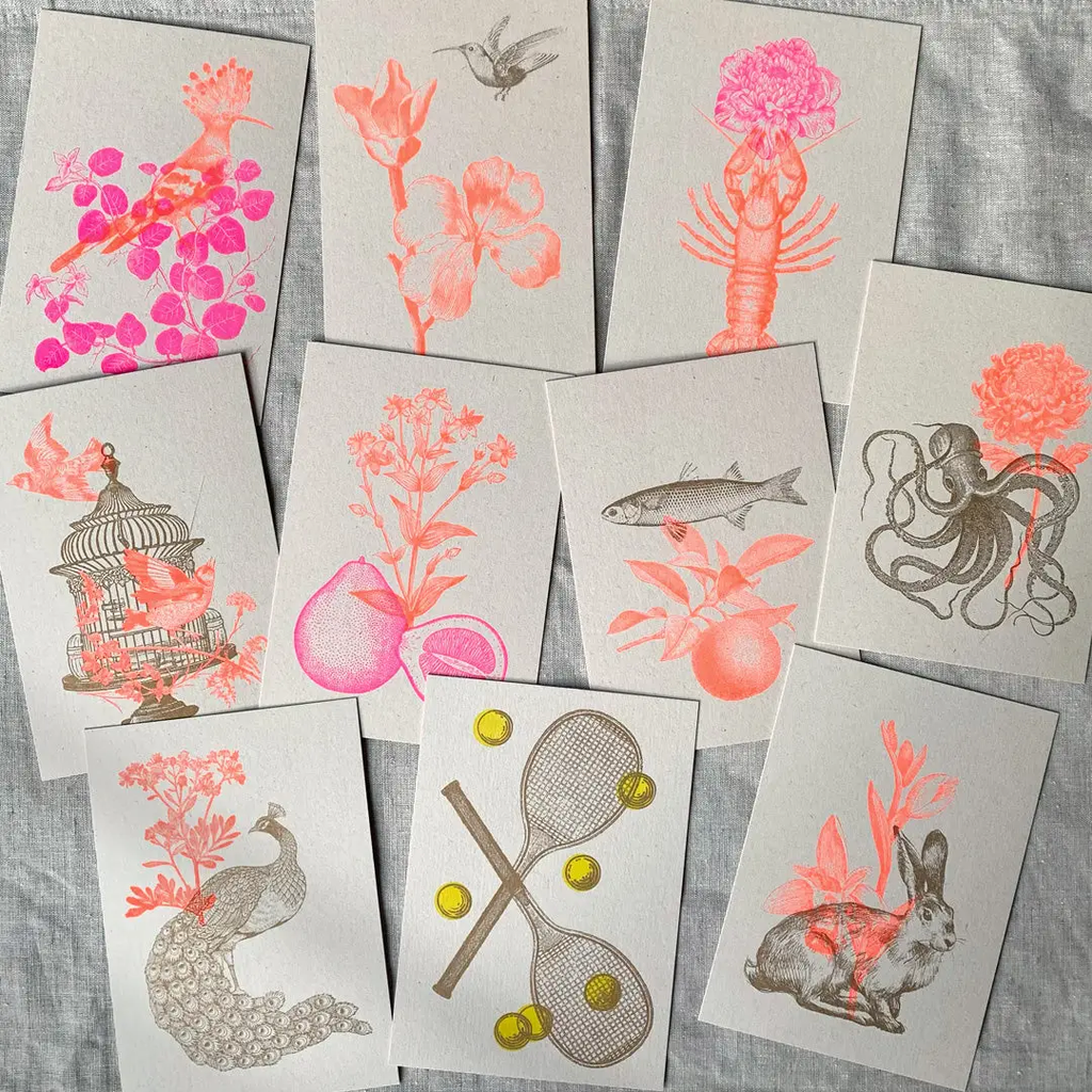 Carte postale Colibri