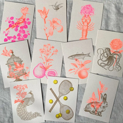Carte postale Colibri