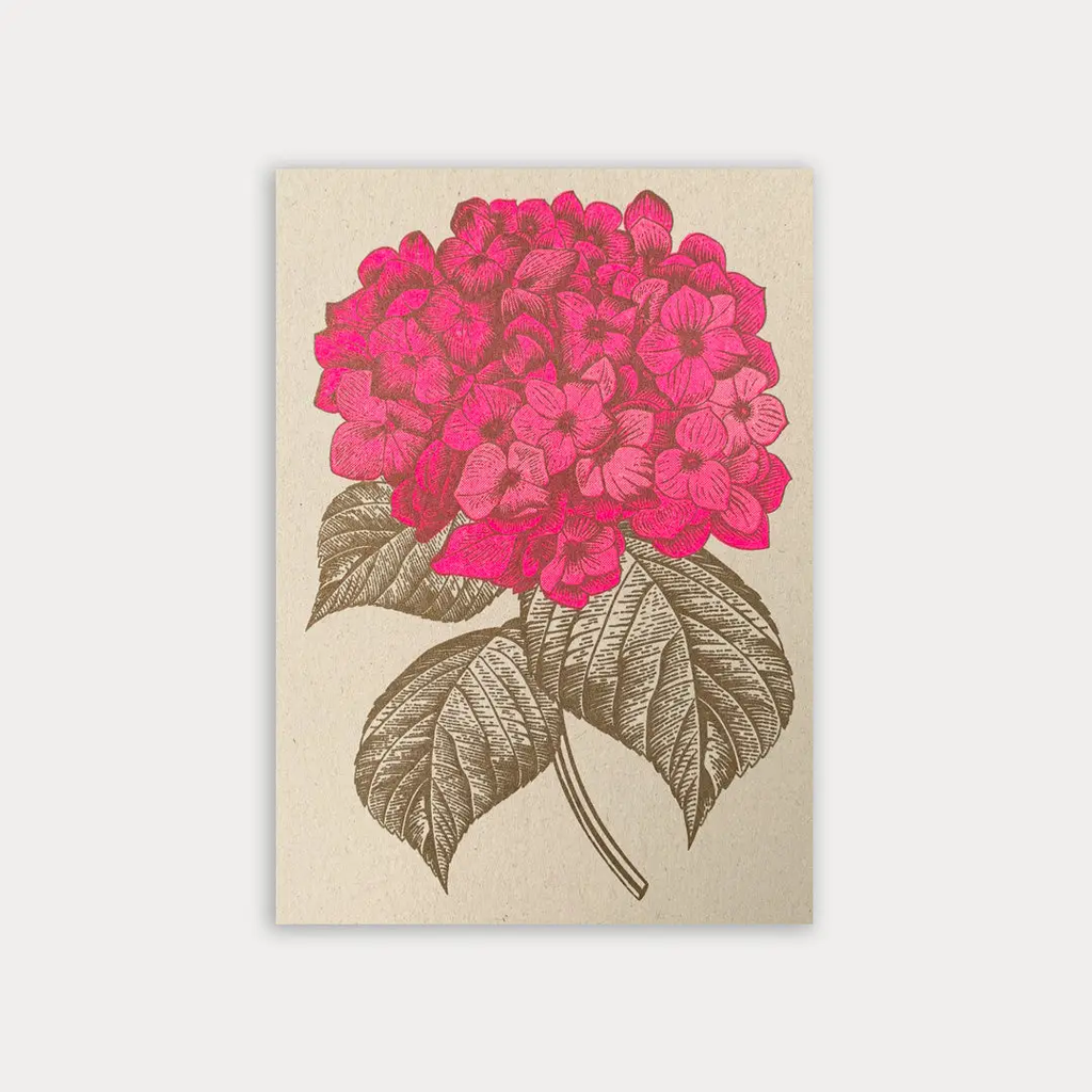 Carte postale Hortensia