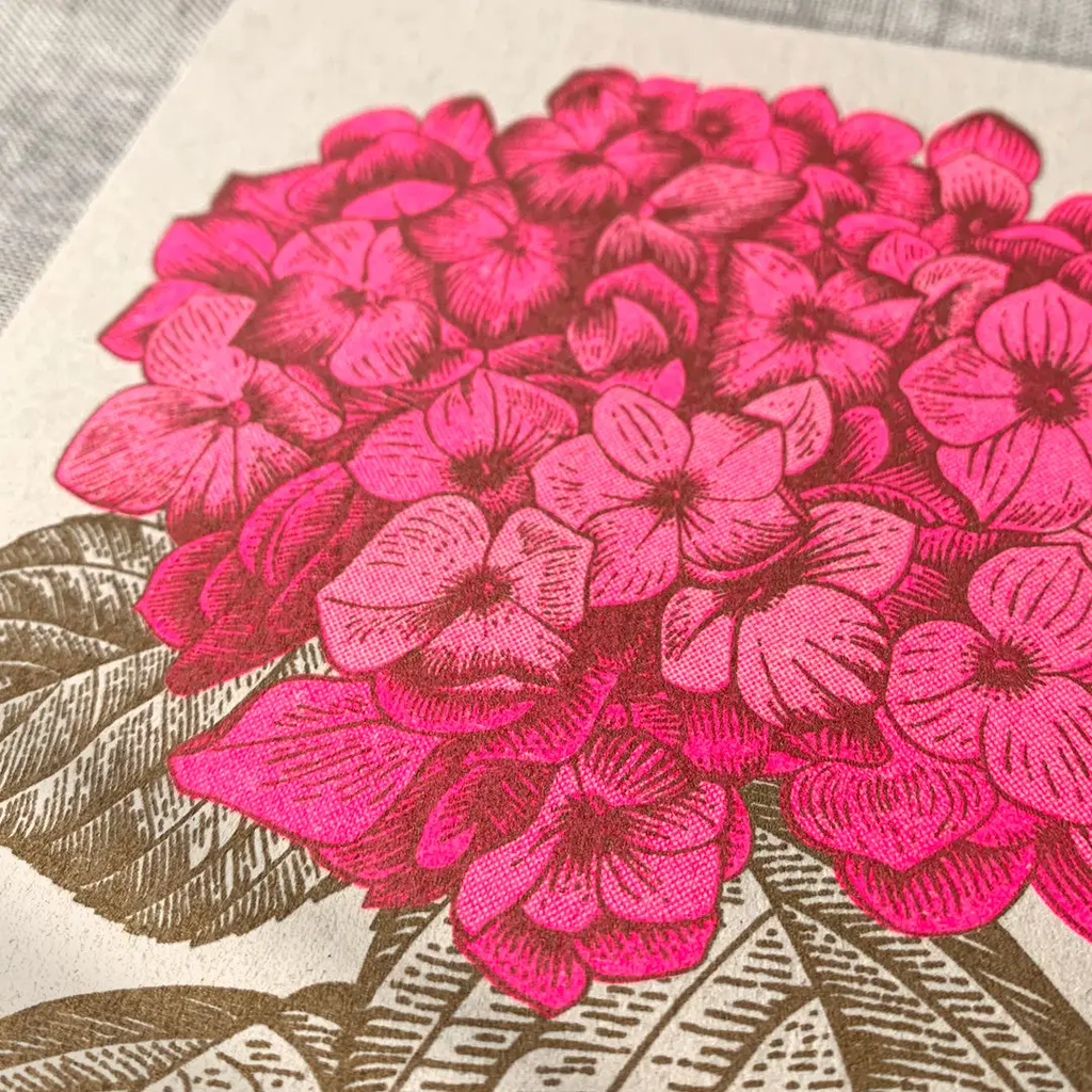 Carte postale Hortensia