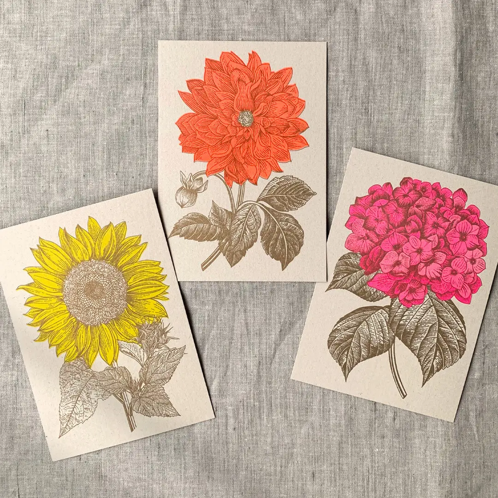 Carte postale Hortensia