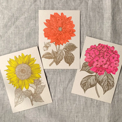 Carte postale Hortensia