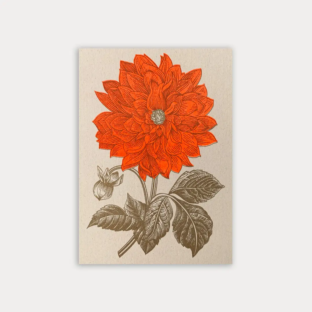 Carte postale Dahlia