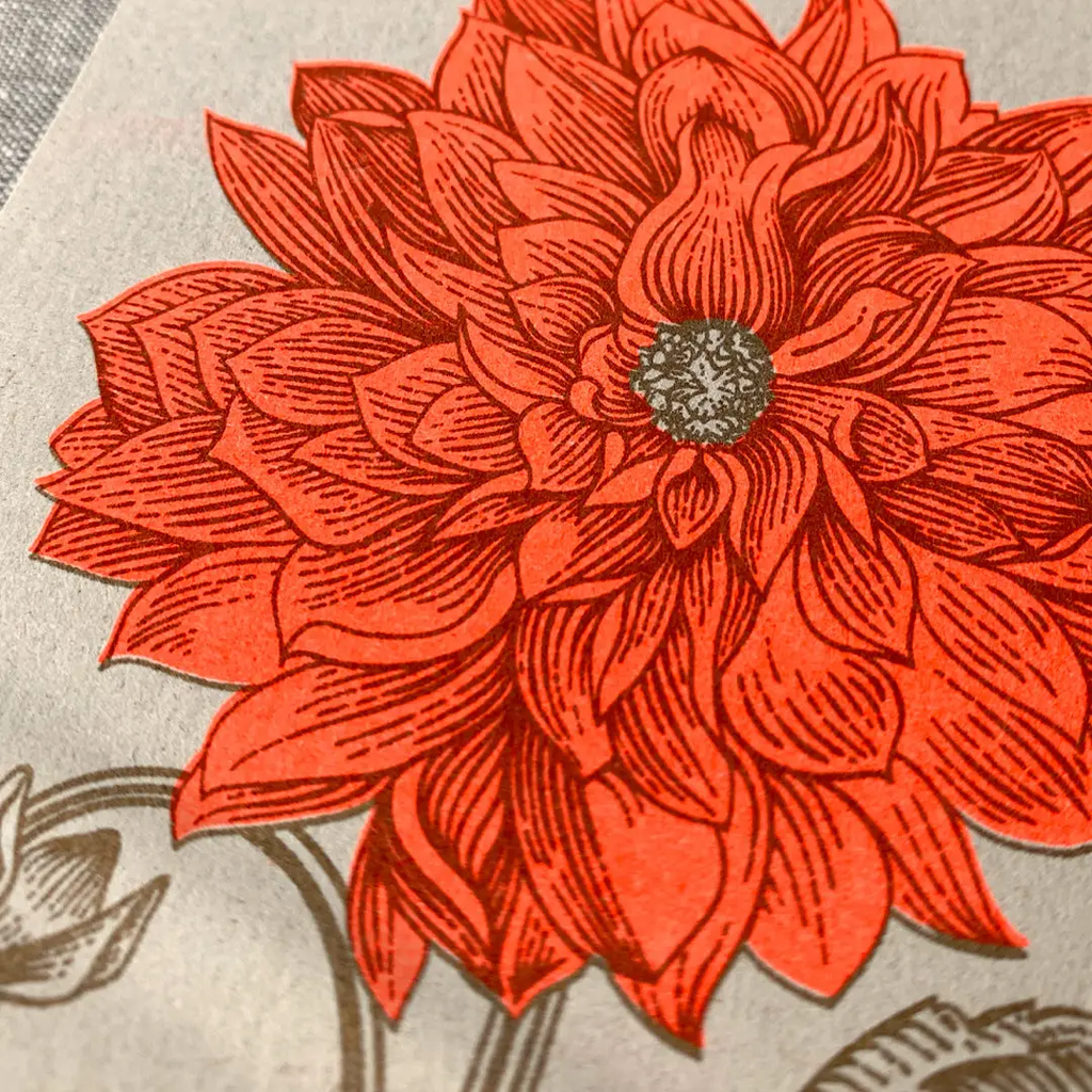 Carte postale Dahlia