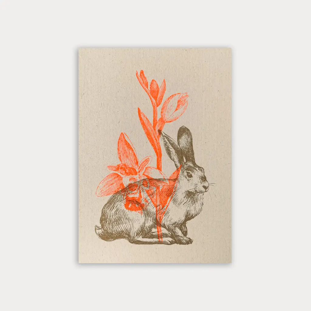 Carte postale Lapin
