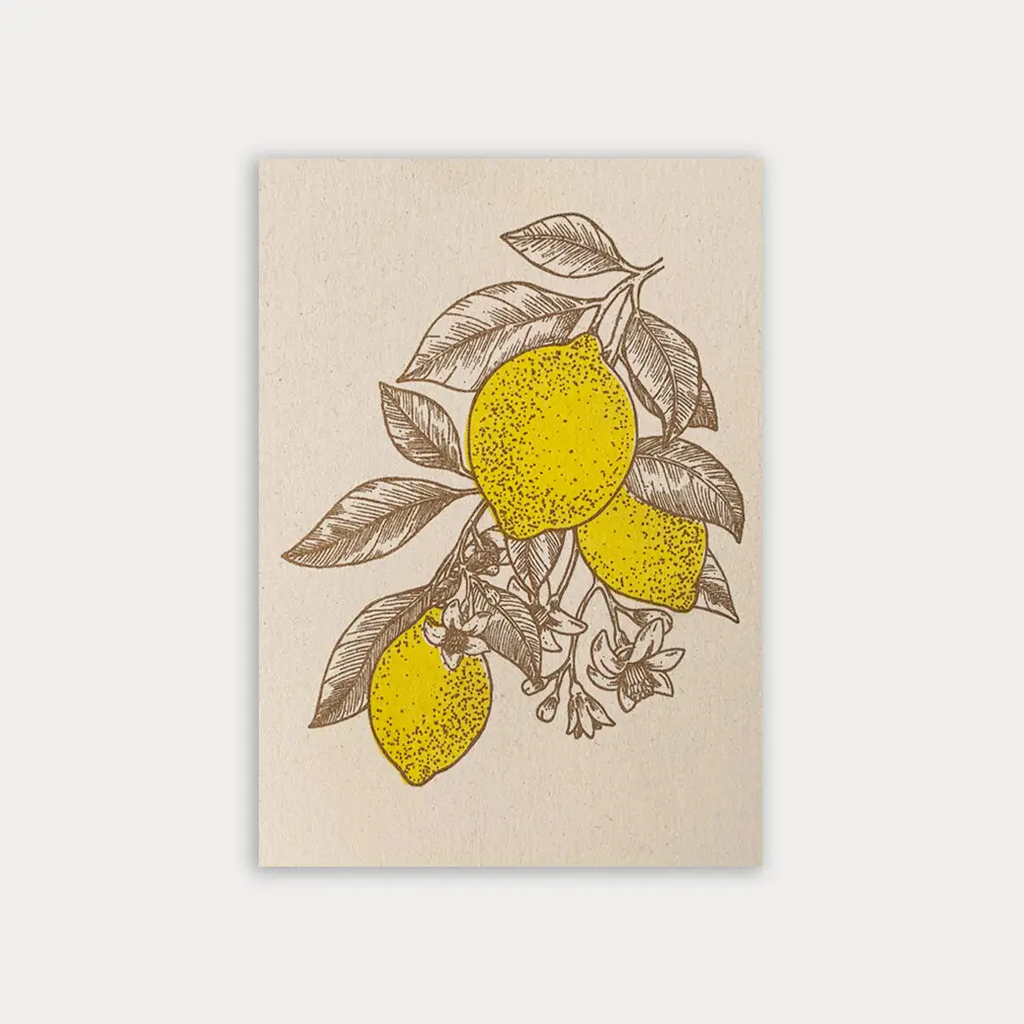 Carte postale Citrons