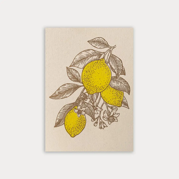 Carte postale Citrons