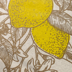Carte postale Citrons