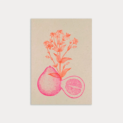 Carte postale Pomelo et fleurs