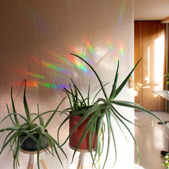 Autocollant créateur d'arc-en-ciel - Slow down and soak it up