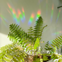 Autocollant créateur d'arc-en-ciel - You shine so bright
