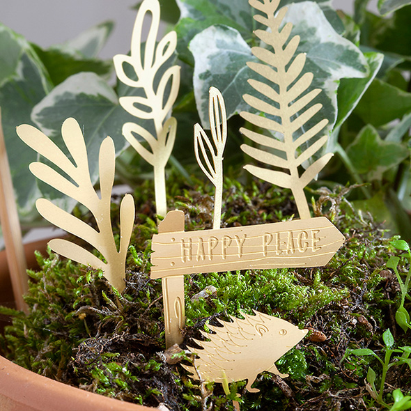 Mini-aventure à vélo pour vos plantes