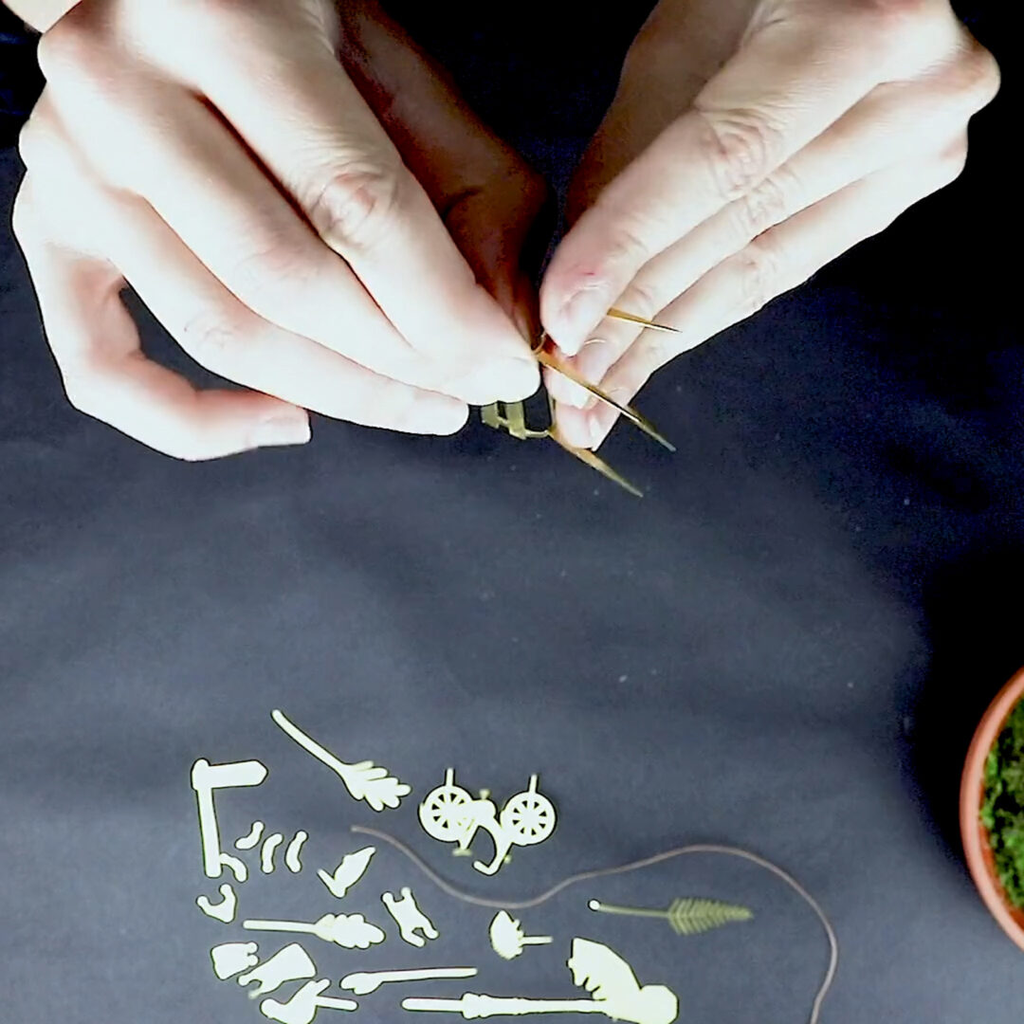 Mini-aventure à vélo pour vos plantes
