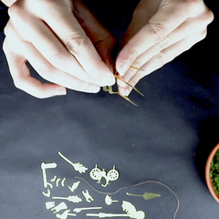 Mini-aventure à vélo pour vos plantes