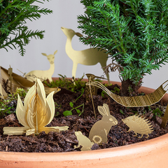 Mini-camping en forêt pour vos plantes