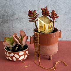 Mini-cabane pour vos plantes