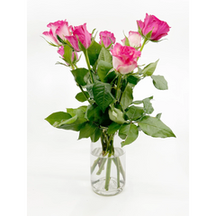 Vase Flâneur - Transparent