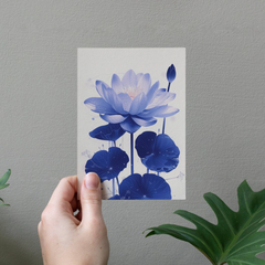 Carte de voeux - Waterlily