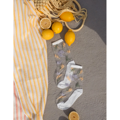 Chaussettes transparentes Les Alpes Pastel