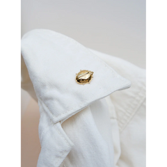 Pin's coccinelle