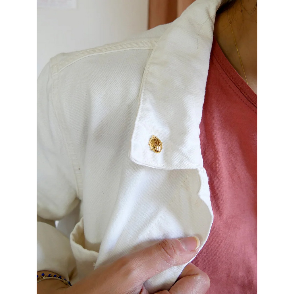 Pin's coccinelle