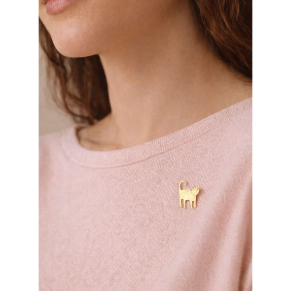 Pin's Neko chat