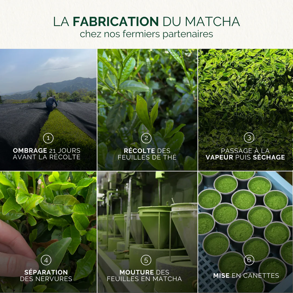 Matcha Prestige Yuzu