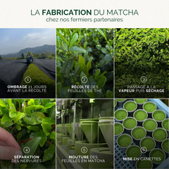 Matcha Prestige Yuzu
