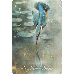 L'oracle des Oiseaux messagers
