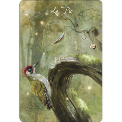 L'oracle des Oiseaux messagers