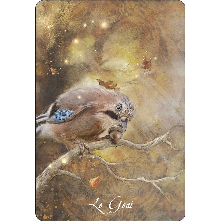 L'oracle des Oiseaux messagers