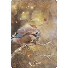 L'oracle des Oiseaux messagers