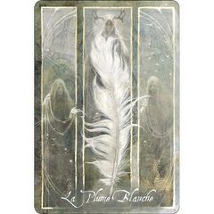 L'oracle des Oiseaux messagers