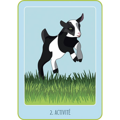Mon oracle poche du bien-être animal