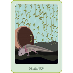 Mon oracle poche du bien-être animal