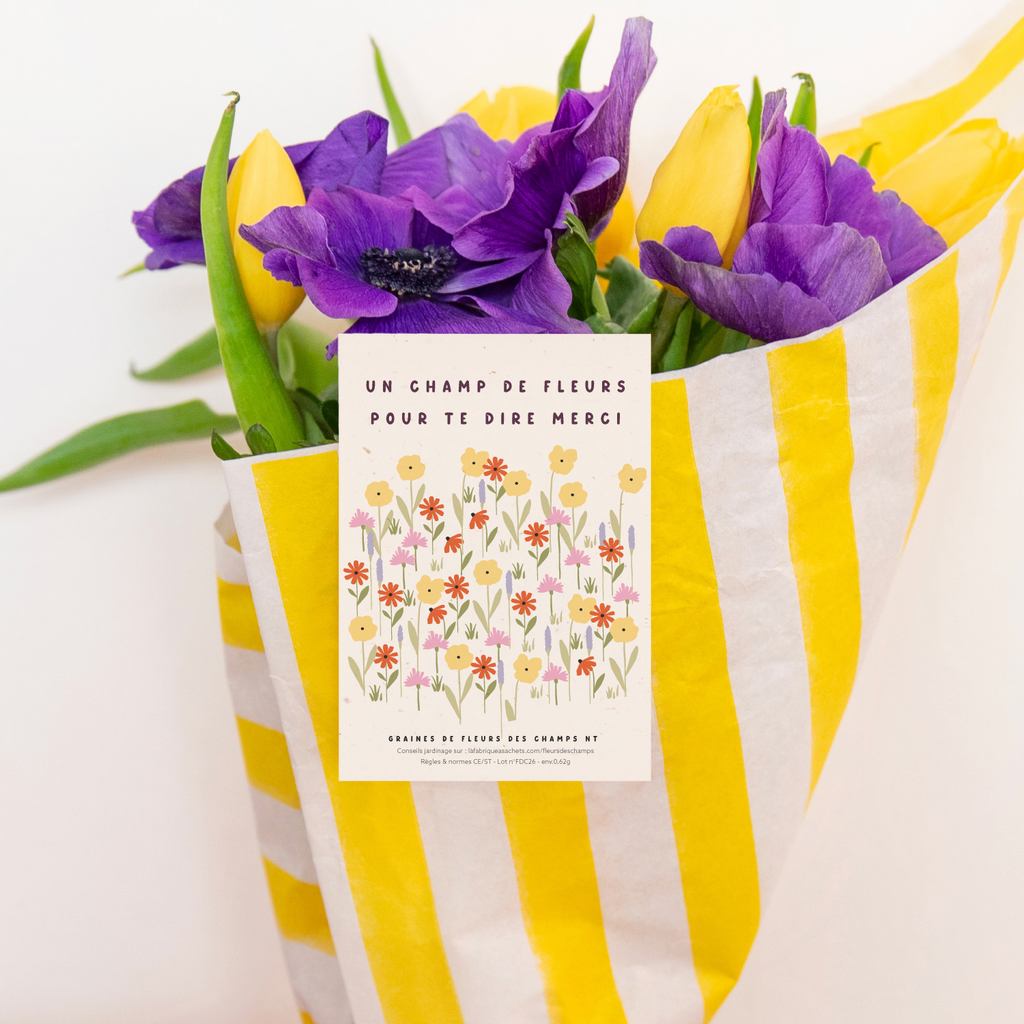 Sachet de graines - Un champ de fleurs pour te dire merci