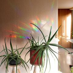 Autocollant créateur d'arc-en-ciel - Flourish