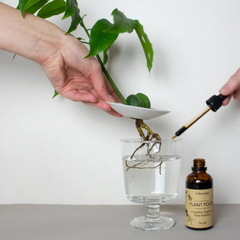 Engrais biologique - Plant food