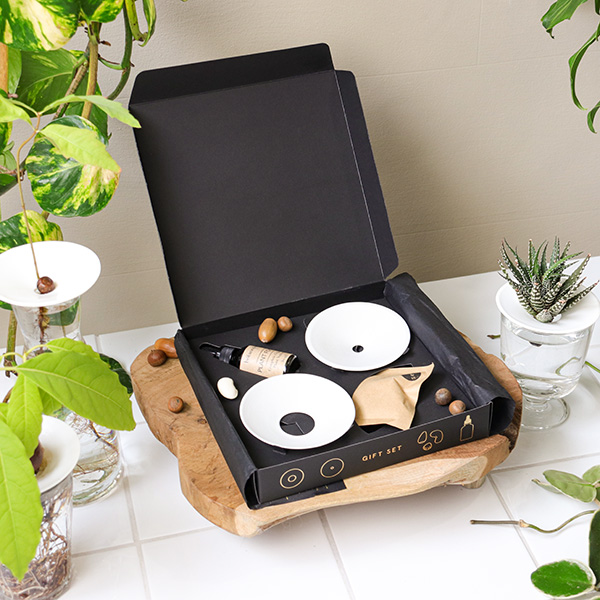 Coffret deluxe pour germination de boutures