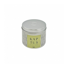 Bougie Voyage - Sapin