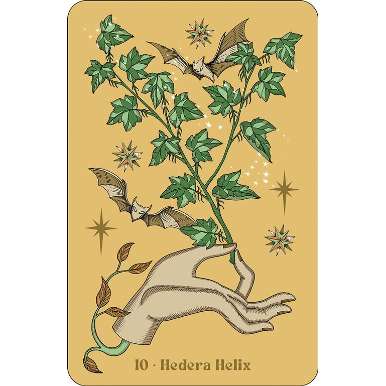 Das Litha-Orakel – Die Jahreszeiten der Hexe