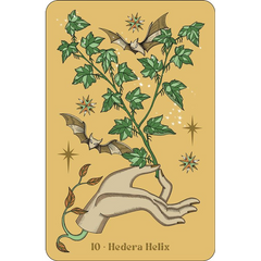 Das Litha-Orakel – Die Jahreszeiten der Hexe