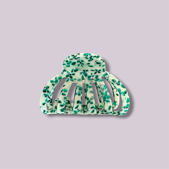 Pince méduse Dalmatien vert