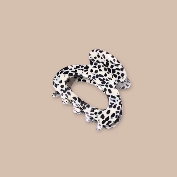 Pince ovale - Dalmatien
