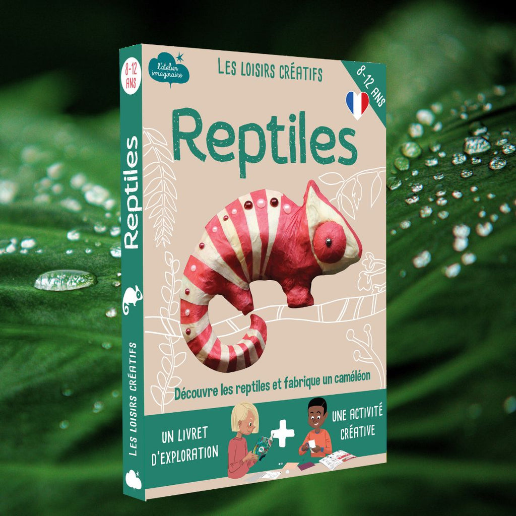 Kit Les Reptiles