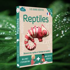 Kit Les Reptiles