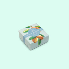 Shampoing solide bio rhassoul - cheveux gras